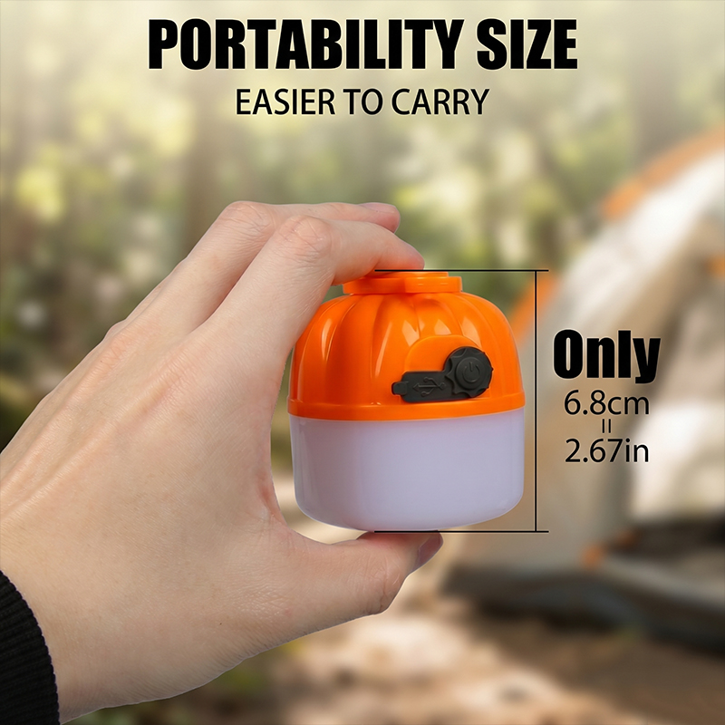Mini Lampe LED Portable en For - Outdoor Lighting Landscape avis et prix
