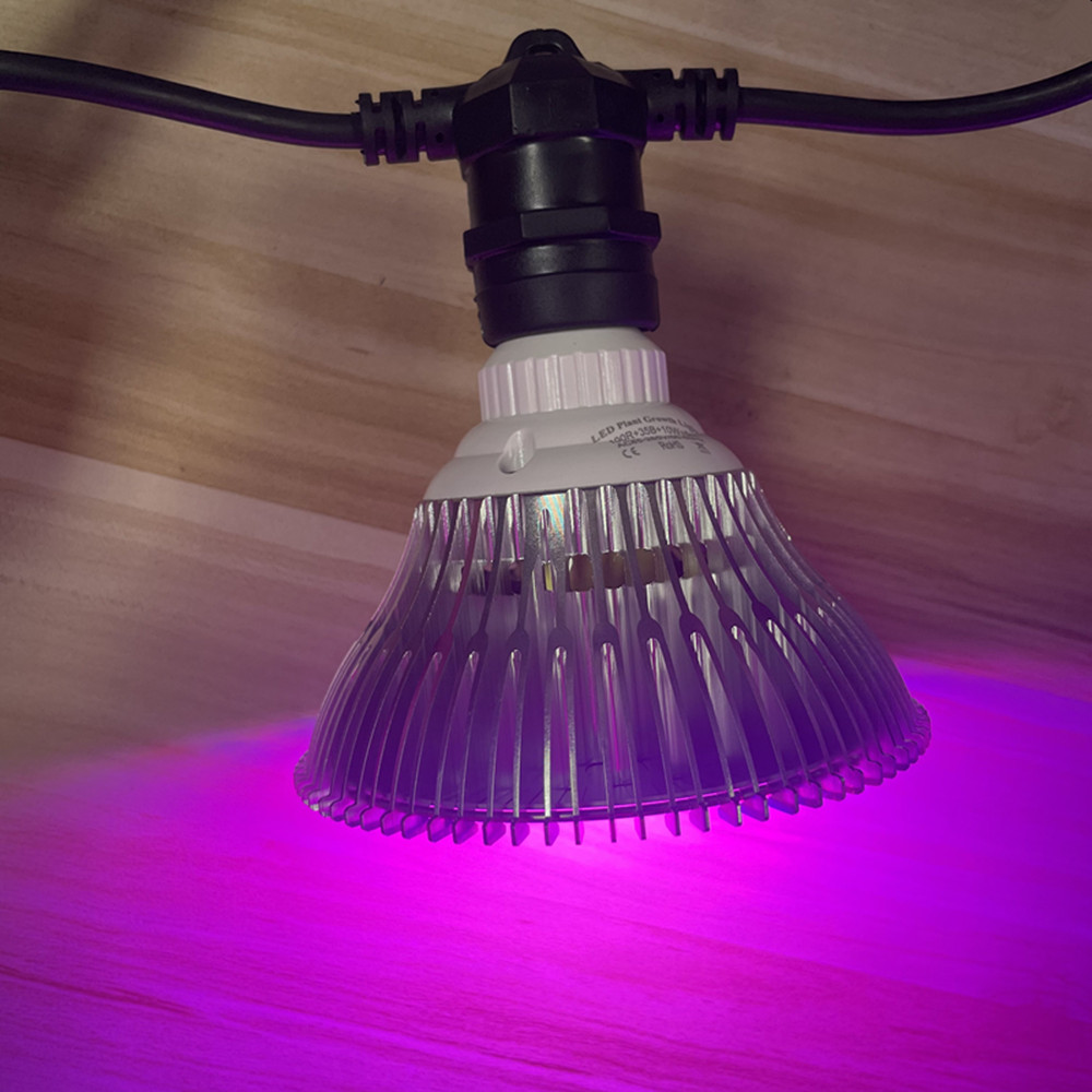 Guirlande lumineuse LED de 10M - Outdoor Lighting Nearby avis et prix